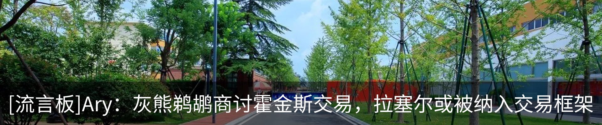 资讯动态
